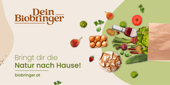 Grafikdesign mit Tüte mit Gemüse und Obst von "dein biobringer"