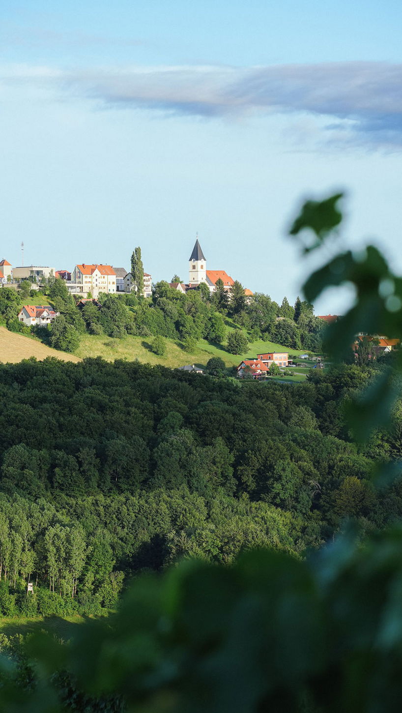 Ausblick vom Weingut Pfeifer auf Kirche