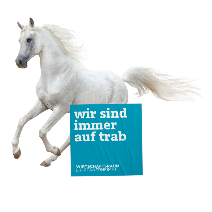 Lipizzaner mit Slogan